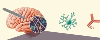 Infographic showing how CITE-seq detects protein and gene expression in the same cell